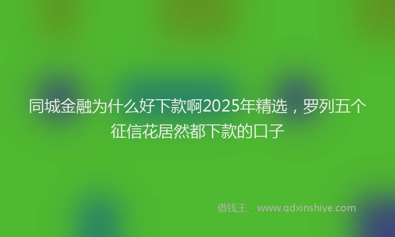 同城金融为什么好下款啊2025年精选，罗列五个征信花居然都下款的口子