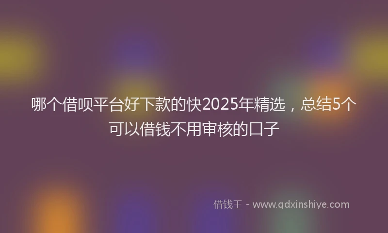 哪个借呗平台好下款的快2025年精选，总结5个可以借钱不用审核的口子