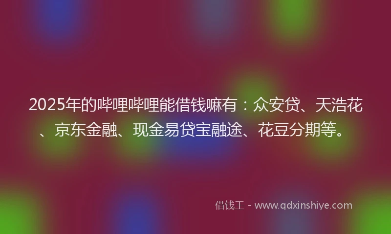 2025年的哔哩哔哩能借钱嘛有：众安贷、天浩花、京东金融、现金易贷宝融途、花豆分期等。