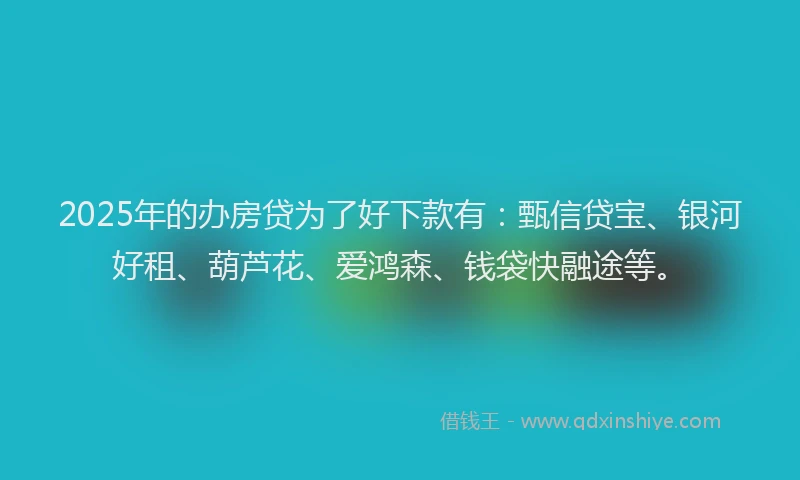 2025年的办房贷为了好下款有：甄信贷宝、银河好租、葫芦花、爱鸿森、钱袋快融途等。