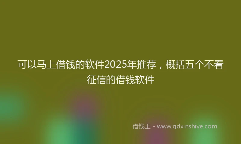 可以马上借钱的软件2025年推荐，概括五个不看征信的借钱软件