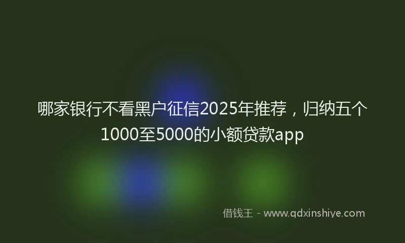 哪家银行不看黑户征信2025年推荐，归纳五个1000至5000的小额贷款app