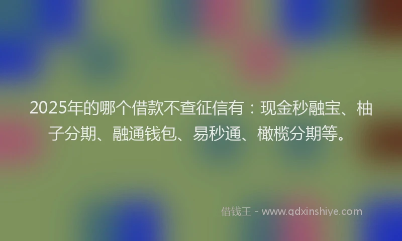 2025年的哪个借款不查征信有：现金秒融宝、柚子分期、融通钱包、易秒通、橄榄分期等。