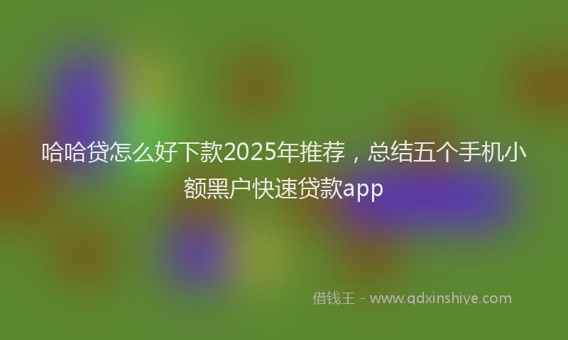 哈哈贷怎么好下款2025年推荐，总结五个手机小额黑户快速贷款app