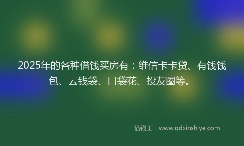 2025年的各种借钱买房有：维信卡卡贷、有钱钱包、云钱袋、口袋花、投友圈等。