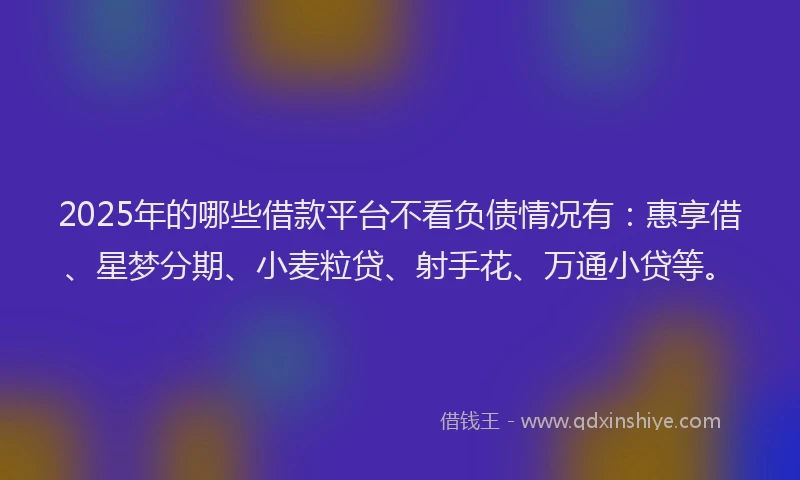 2025年的哪些借款平台不看负债情况有：惠享借、星梦分期、小麦粒贷、射手花、万通小贷等。