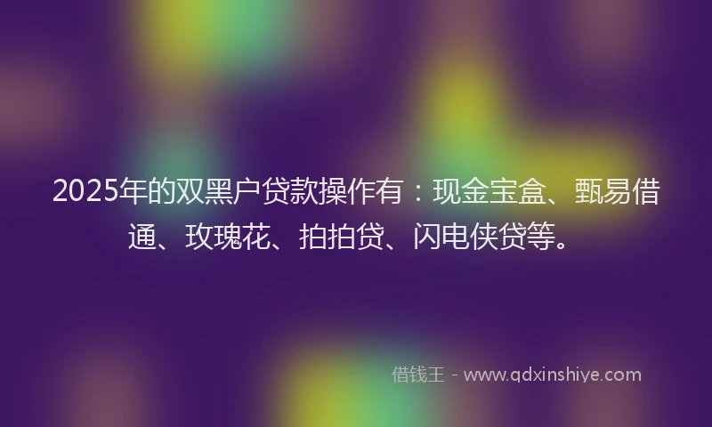 2025年的双黑户贷款操作有：现金宝盒、甄易借通、玫瑰花、拍拍贷、闪电侠贷等。