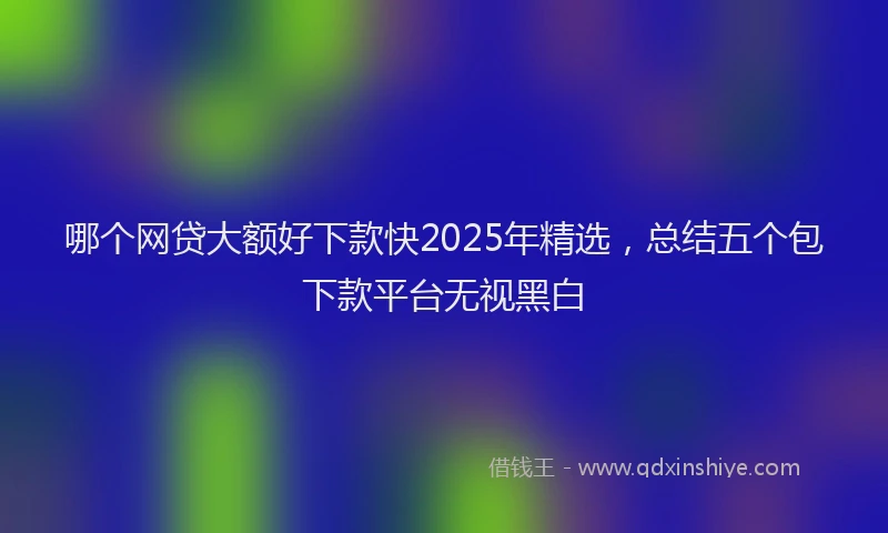 哪个网贷大额好下款快2025年精选，总结五个包下款平台无视黑白
