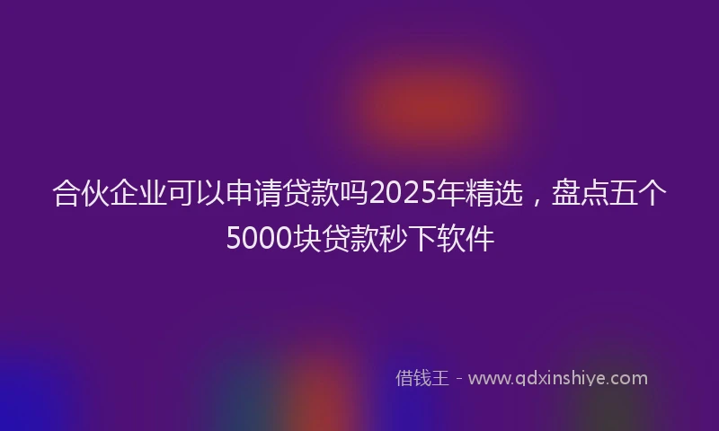合伙企业可以申请贷款吗2025年精选，盘点五个5000块贷款秒下软件
