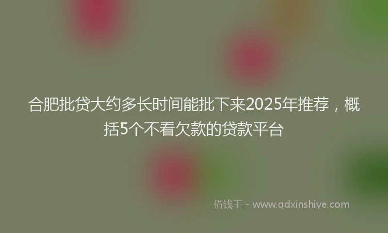 合肥批贷大约多长时间能批下来2025年推荐，概括5个不看欠款的贷款平台
