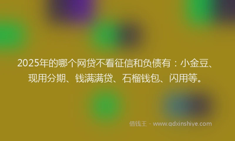 2025年的哪个网贷不看征信和负债有：小金豆、现用分期、钱满满贷、石榴钱包、闪用等。