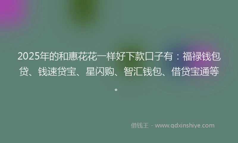 2025年的和惠花花一样好下款口子有：福禄钱包贷、钱速贷宝、星闪购、智汇钱包、借贷宝通等。