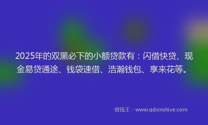 2025年的双黑必下的小额贷款有：闪借快贷、现金易贷通途、钱袋速借、浩瀚钱包、享来花等。
