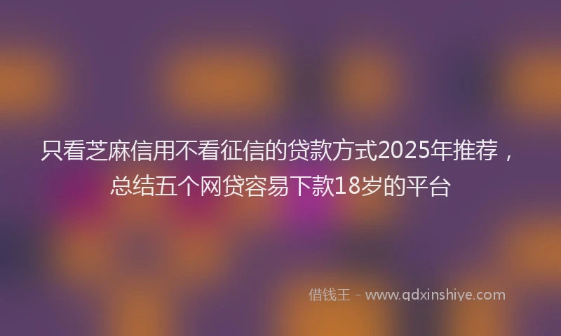 只看芝麻信用不看征信的贷款方式2025年推荐，总结五个网贷容易下款18岁的平台