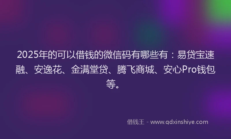 2025年的可以借钱的微信码有哪些有：易贷宝速融、安逸花、金满堂贷、腾飞商城、安心Pro钱包等。