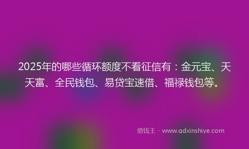 2025年的哪些循环额度不看征信有：金元宝、天天富、全民钱包、易贷宝速借、福禄钱包等。