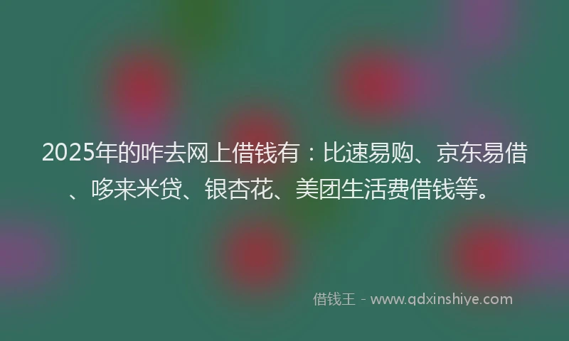 2025年的咋去网上借钱有：比速易购、京东易借、哆来米贷、银杏花、美团生活费借钱等。