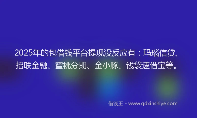 2025年的包借钱平台提现没反应有：玛瑙信贷、招联金融、蜜桃分期、金小豚、钱袋速借宝等。