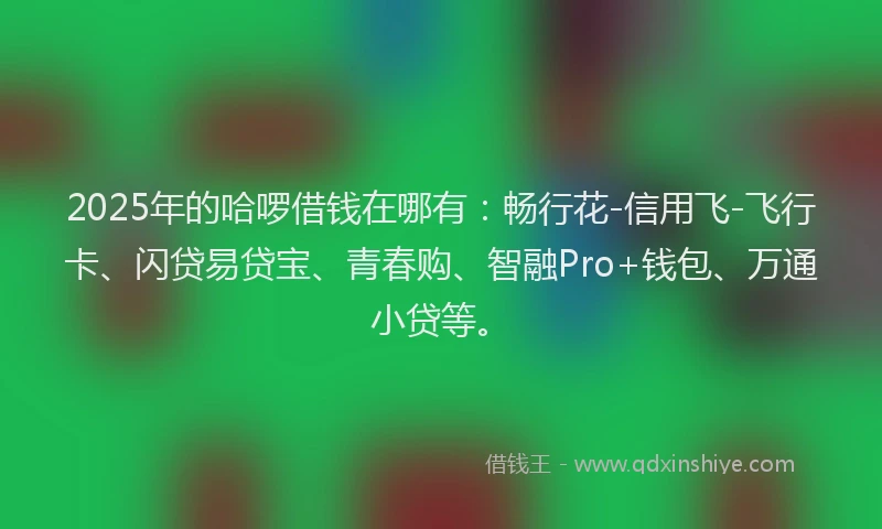 2025年的哈啰借钱在哪有：畅行花-信用飞-飞行卡、闪贷易贷宝、青春购、智融Pro+钱包、万通小贷等。