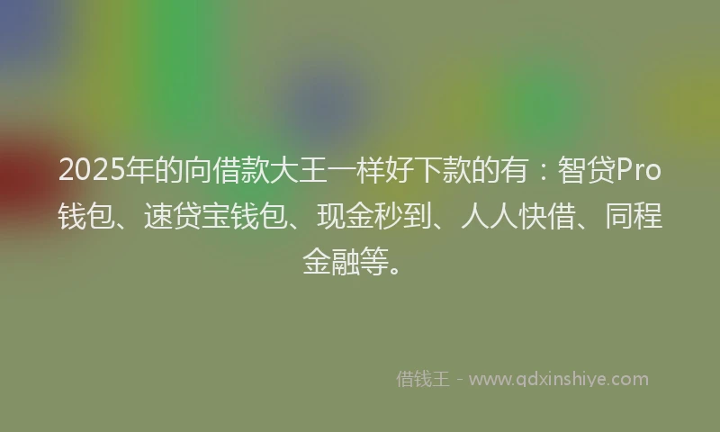 2025年的向借款大王一样好下款的有：智贷Pro钱包、速贷宝钱包、现金秒到、人人快借、同程金融等。