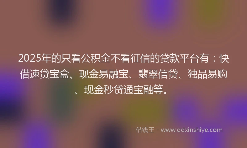 2025年的只看公积金不看征信的贷款平台有：快借速贷宝盒、现金易融宝、翡翠信贷、独品易购、现金秒贷通宝融等。