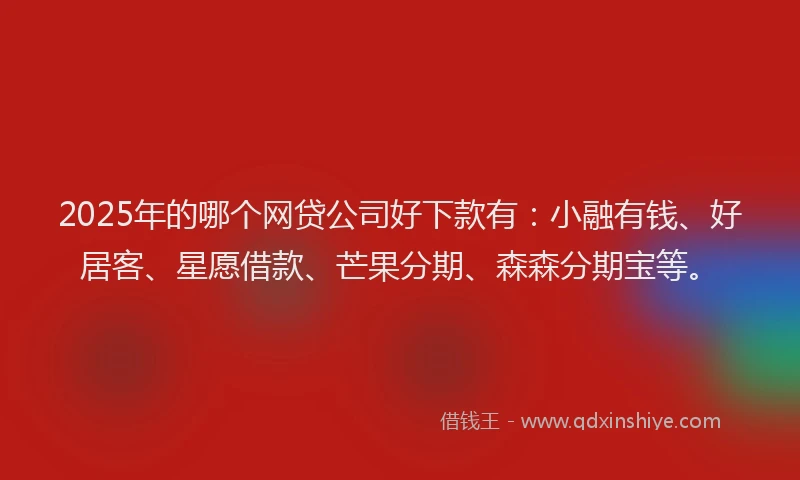 2025年的哪个网贷公司好下款有：小融有钱、好居客、星愿借款、芒果分期、森森分期宝等。