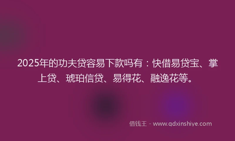 2025年的功夫贷容易下款吗有：快借易贷宝、掌上贷、琥珀信贷、易得花、融逸花等。
