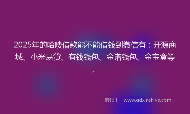 2025年的哈喽借款能不能借钱到微信有：开源商城、小米易贷、有钱钱包、金诺钱包、金宝盒等。
