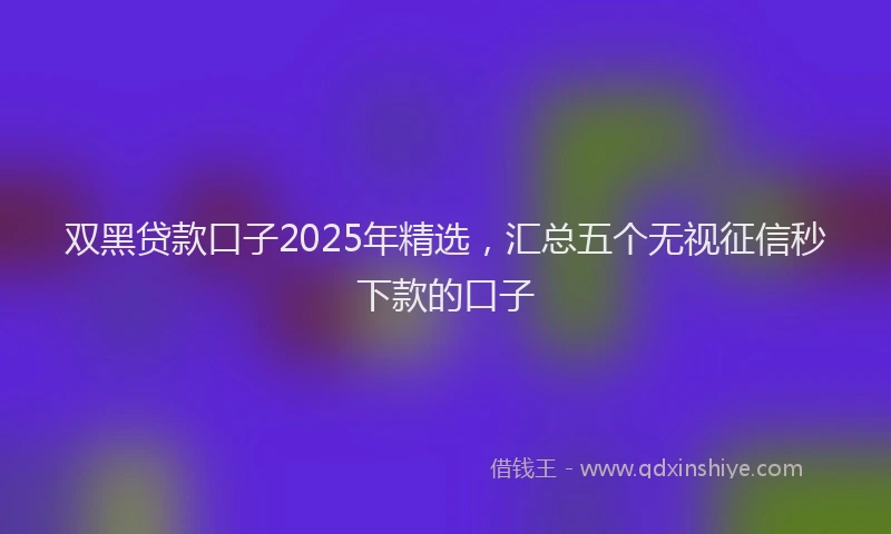 双黑贷款口子2025年精选，汇总五个无视征信秒下款的口子