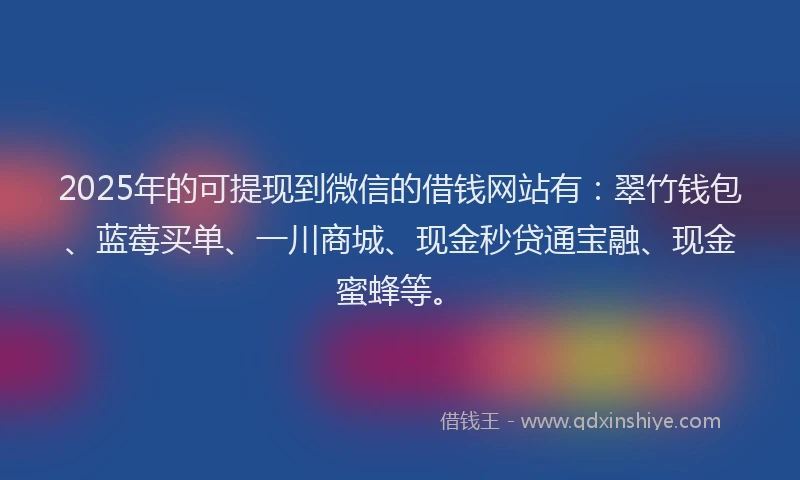 2025年的可提现到微信的借钱网站有：翠竹钱包、蓝莓买单、一川商城、现金秒贷通宝融、现金蜜蜂等。