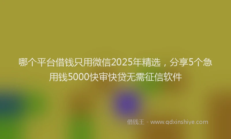哪个平台借钱只用微信2025年精选，分享5个急用钱5000快审快贷无需征信软件