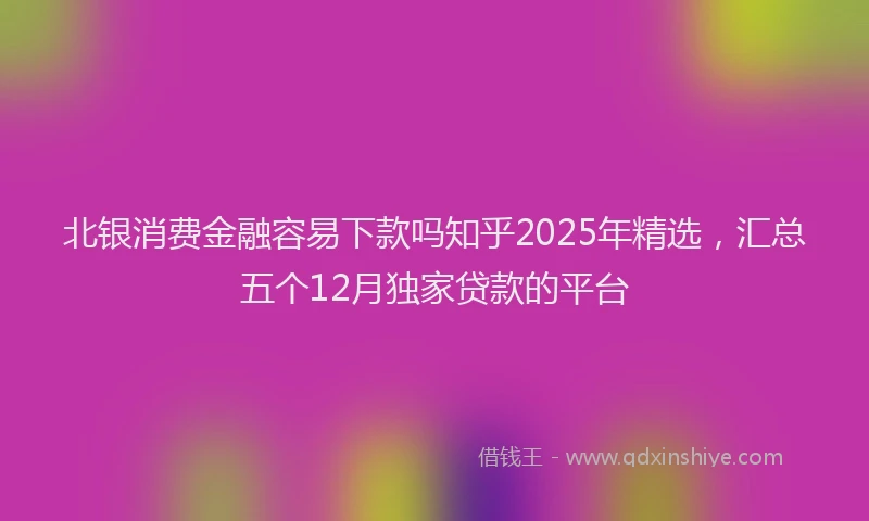 北银消费金融容易下款吗知乎2025年精选，汇总五个12月独家贷款的平台