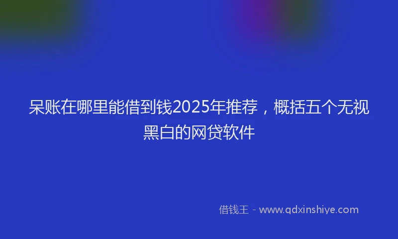 呆账在哪里能借到钱2025年推荐，概括五个无视黑白的网贷软件