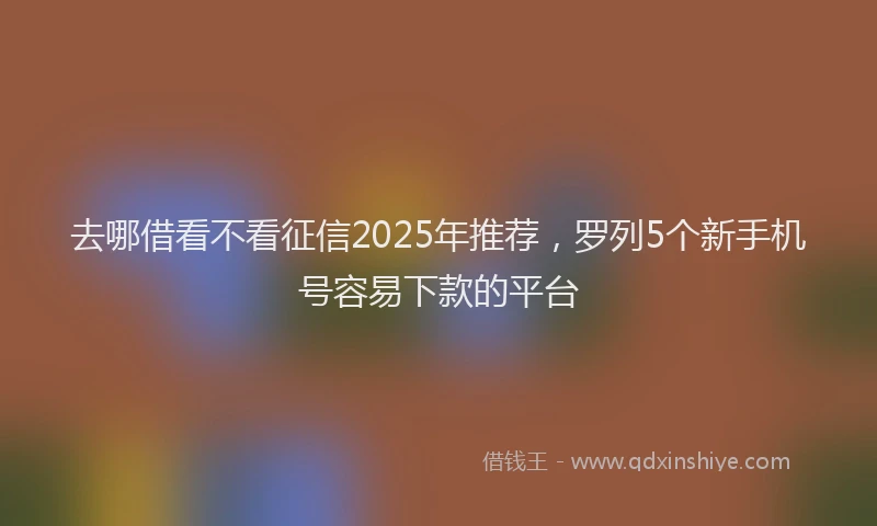 去哪借看不看征信2025年推荐，罗列5个新手机号容易下款的平台