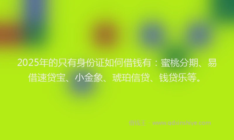 2025年的只有身份证如何借钱有：蜜桃分期、易借速贷宝、小金象、琥珀信贷、钱贷乐等。