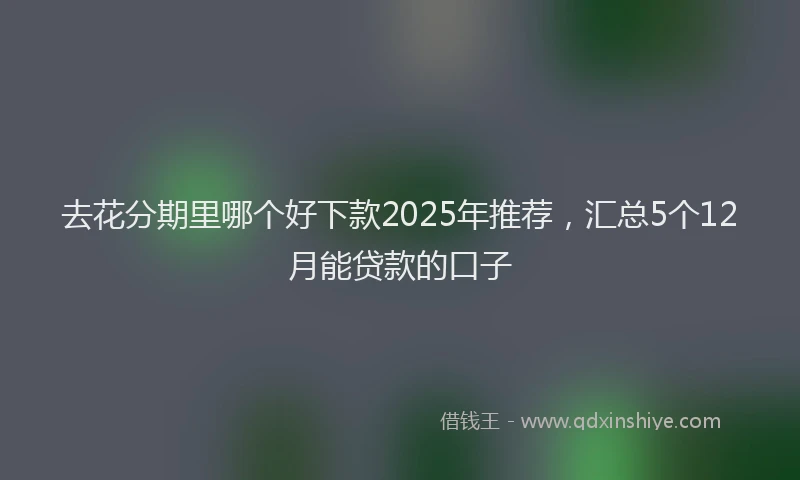 去花分期里哪个好下款2025年推荐，汇总5个12月能贷款的口子