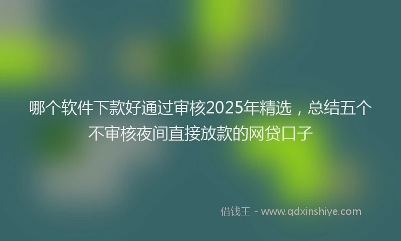 哪个软件下款好通过审核2025年精选，总结五个不审核夜间直接放款的网贷口子