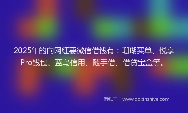 2025年的向网红要微信借钱有：珊瑚买单、悦享Pro钱包、蓝鸟信用、随手借、借贷宝盒等。