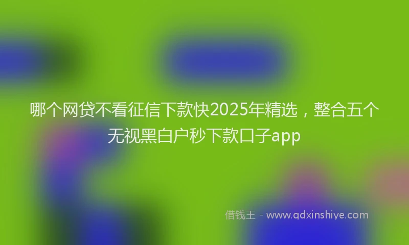 哪个网贷不看征信下款快2025年精选，整合五个无视黑白户秒下款口子app