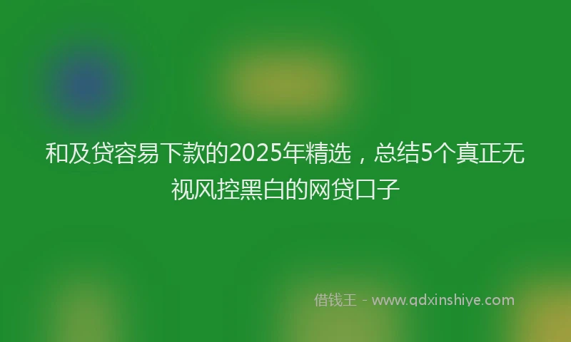 和及贷容易下款的2025年精选，总结5个真正无视风控黑白的网贷口子