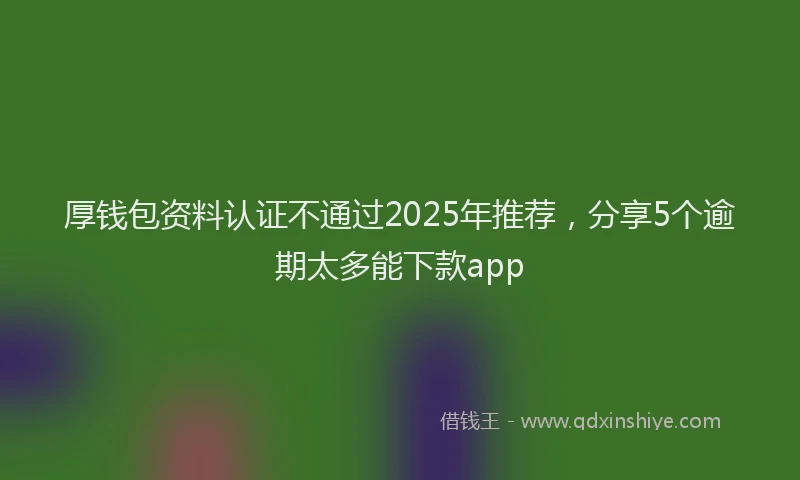 厚钱包资料认证不通过2025年推荐，分享5个逾期太多能下款app