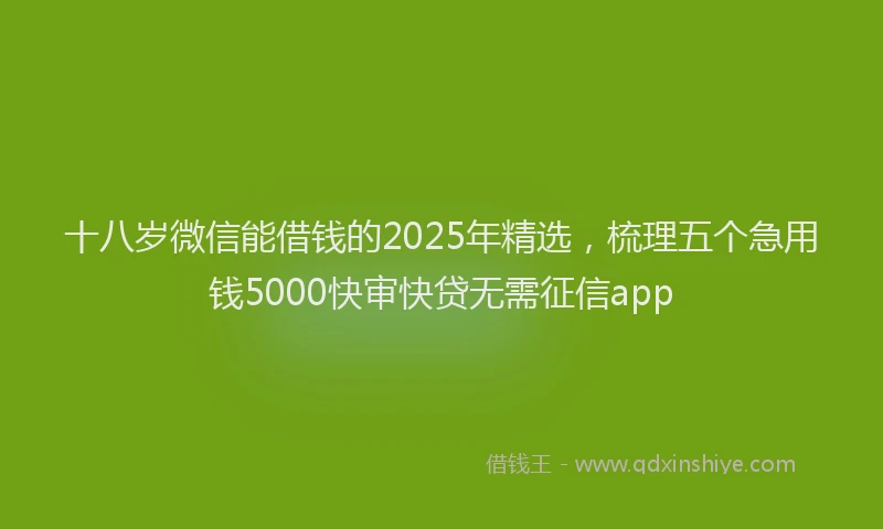 十八岁微信能借钱的2025年精选，梳理五个急用钱5000快审快贷无需征信app