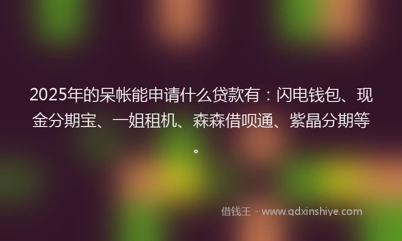 2025年的呆帐能申请什么贷款有：闪电钱包、现金分期宝、一姐租机、森森借呗通、紫晶分期等。