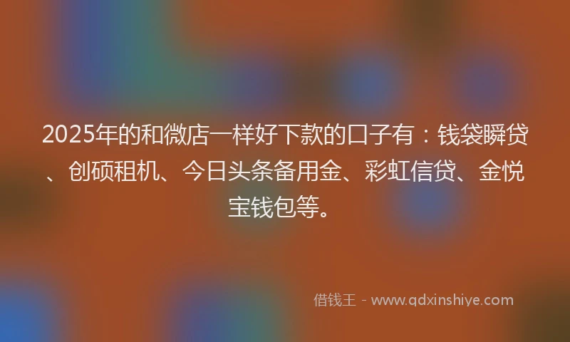 2025年的和微店一样好下款的口子有：钱袋瞬贷、创硕租机、今日头条备用金、彩虹信贷、金悦宝钱包等。