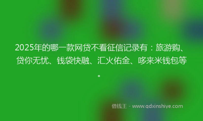 2025年的哪一款网贷不看征信记录有：旅游购、贷你无忧、钱袋快融、汇火佑金、哆来米钱包等。