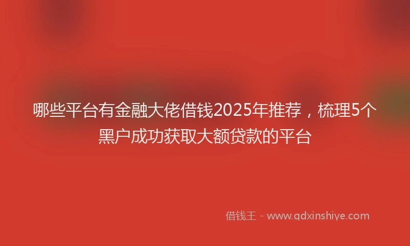 哪些平台有金融大佬借钱2025年推荐，梳理5个黑户成功获取大额贷款的平台