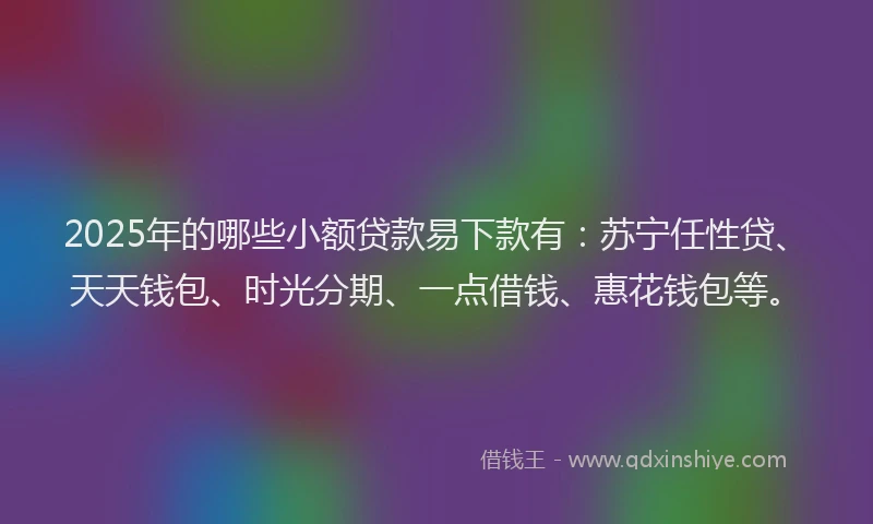 2025年的哪些小额贷款易下款有：苏宁任性贷、天天钱包、时光分期、一点借钱、惠花钱包等。