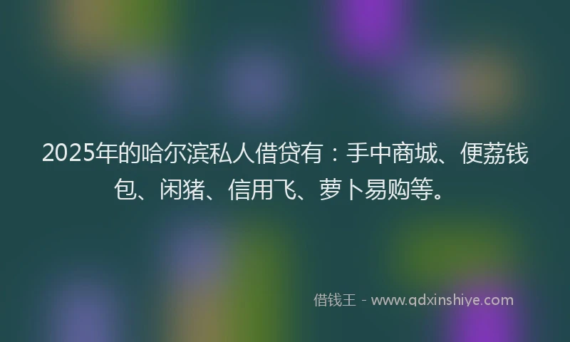 2025年的哈尔滨私人借贷有：手中商城、便荔钱包、闲猪、信用飞、萝卜易购等。