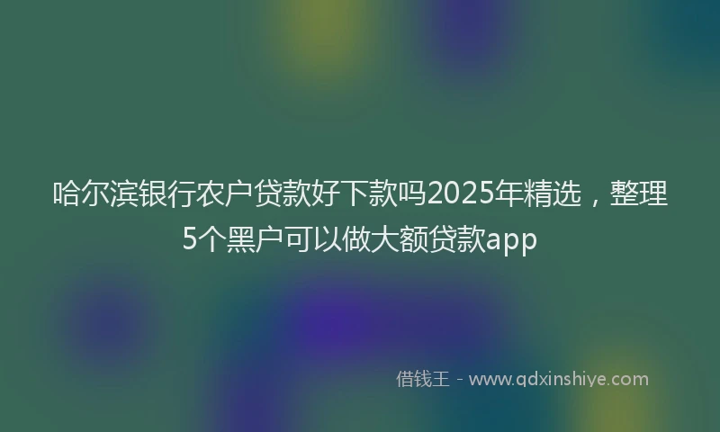 哈尔滨银行农户贷款好下款吗2025年精选，整理5个黑户可以做大额贷款app