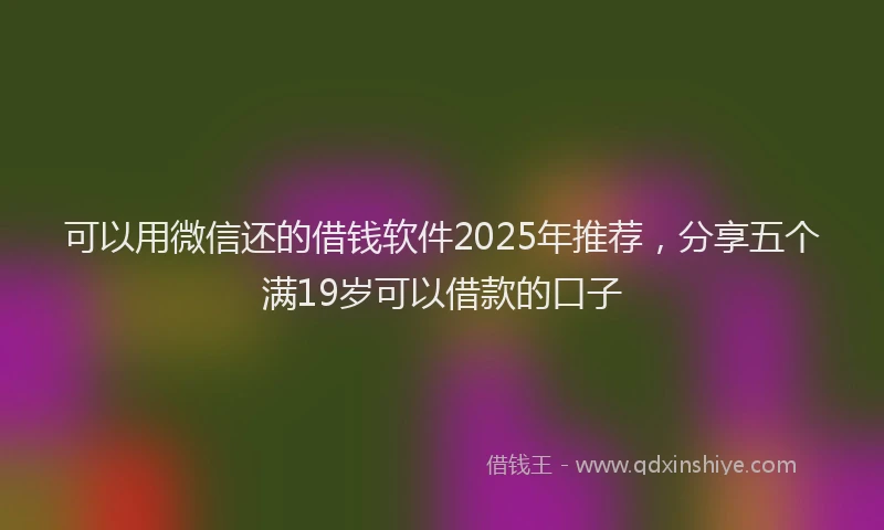 可以用微信还的借钱软件2025年推荐，分享五个满19岁可以借款的口子